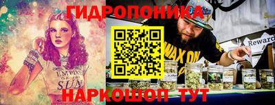 индика Донецк